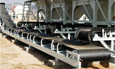 圣能支招：如何購買到高精度電子皮帶秤？